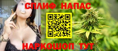 МДПВ Тула